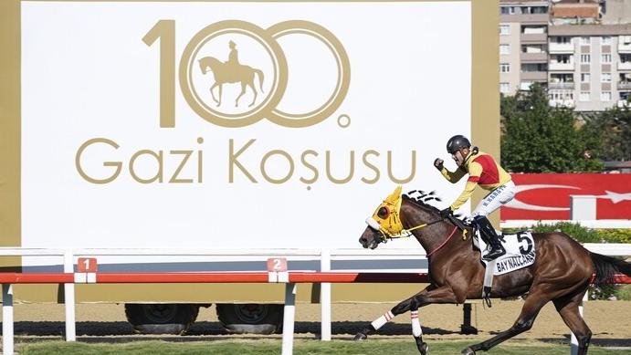nalçakan-cropped.jpg