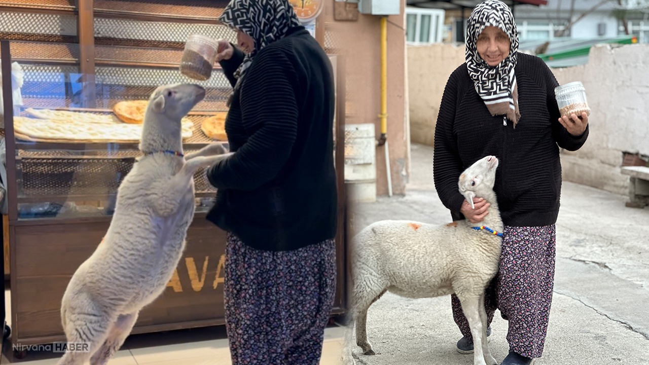 Bu ikiliyi gören dönüp bir daha bakıyor! ‘Çorap’ pide kuyruğuna bile giriyor