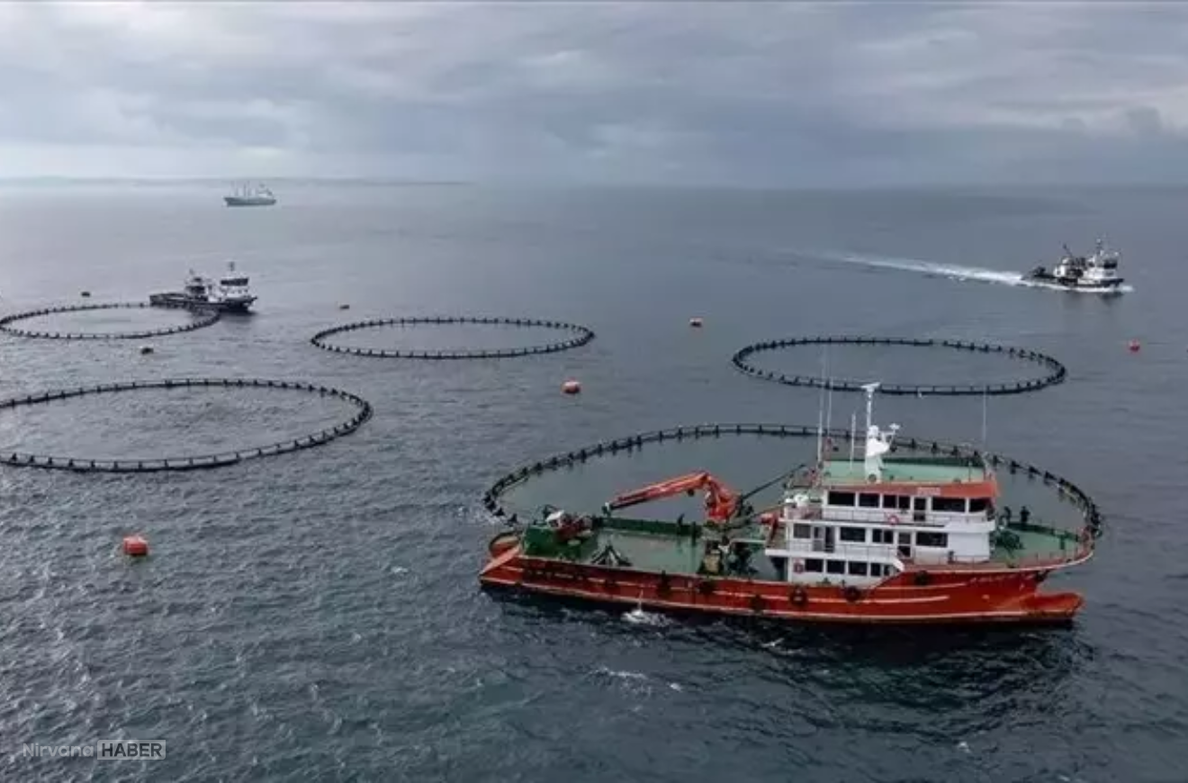 Karadeniz’den su ürünleri ihracatında artış: Yüzde 46’lık sıçrama