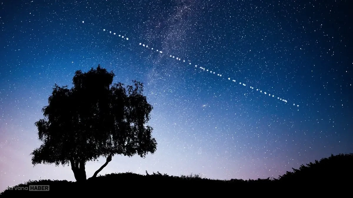 starlink.webp