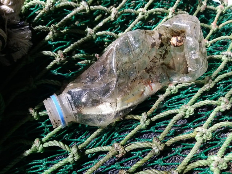 Karadeniz'deki Plastiklerin Üzerinde Yaşayan Mikroorganizmalar Keşfedildi