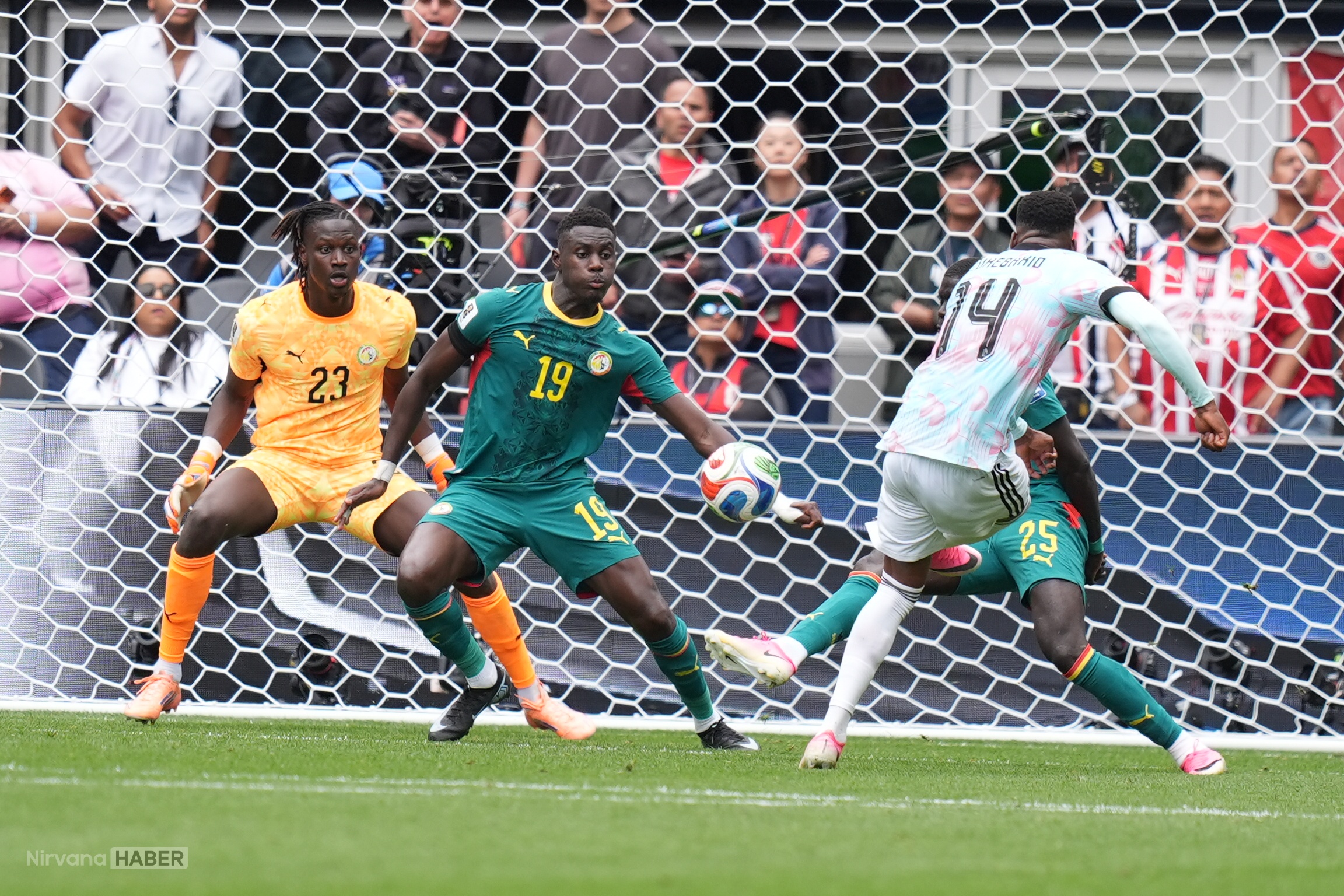 AA-20260701-41847551-41847550-BELCIKA_SENEGAL.jpg