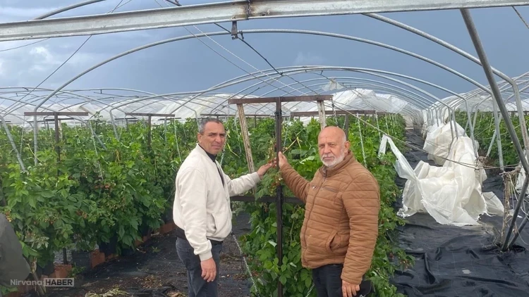 Mersin'de dolu ve fırtına tarım alanlarına zarar verdi