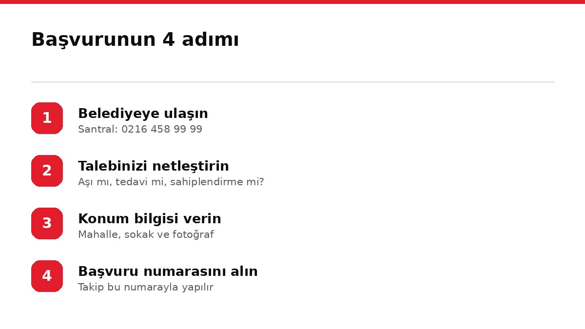 Başvurunun 4 adımı
