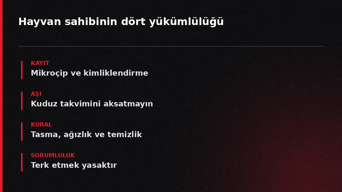 Hayvan sahibinin dört yükümlülüğü