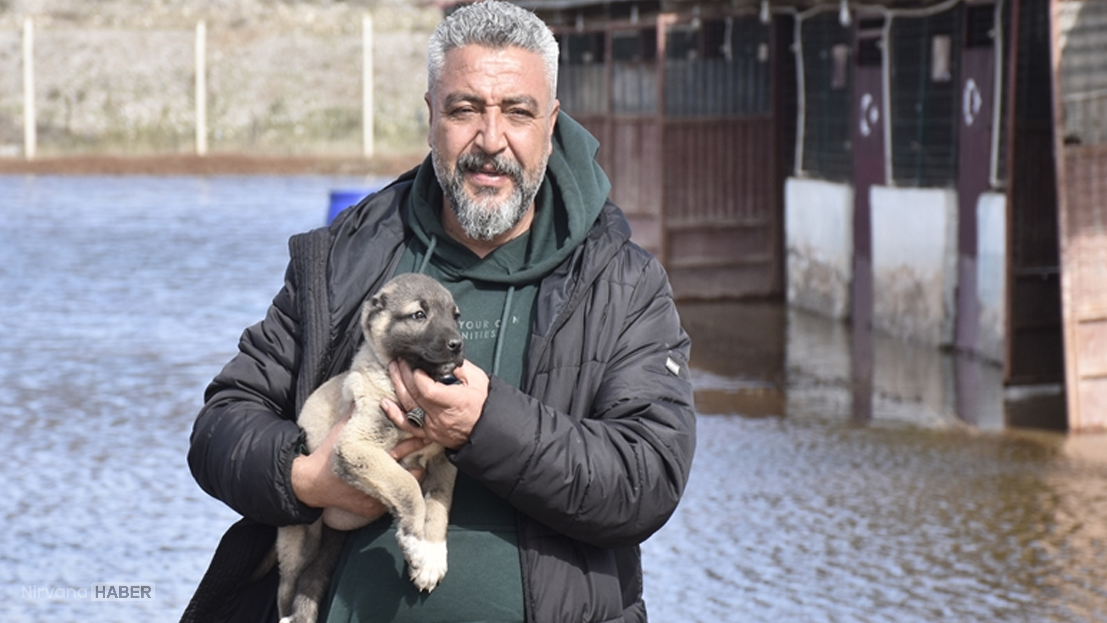 Kangal çiftliği sular altında kaldı! Yavru köpekleri kucağında kurtardı