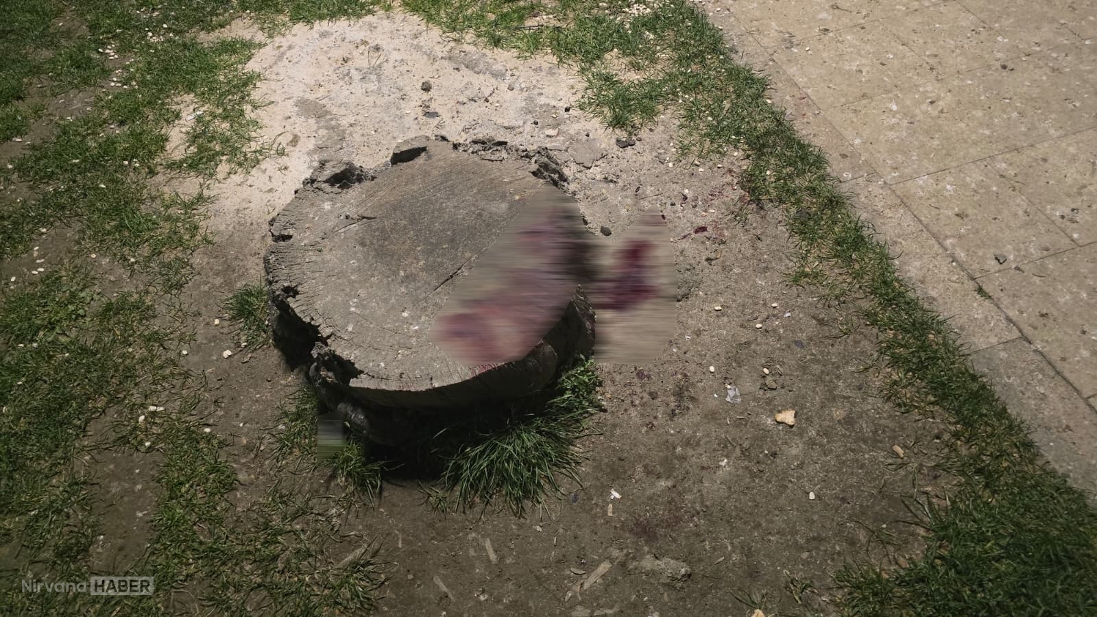 Bursa'da parkta bıçaklı kavga çıktı: 16 yaşındaki genç yaralandı