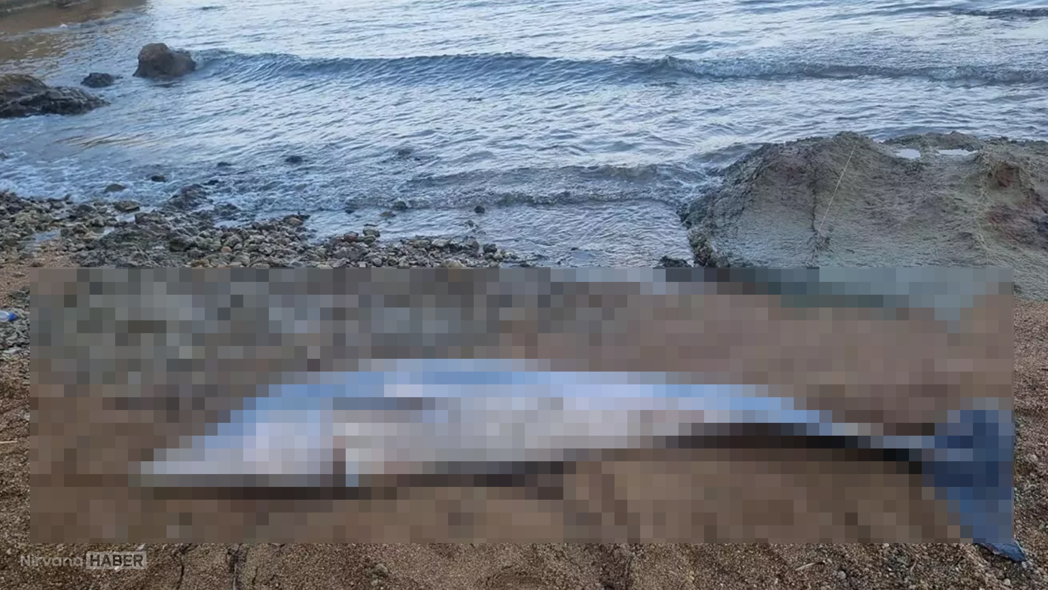 Çanakkale'de kıyıya vurdu! Görenler ne olduğunu anlayamadı