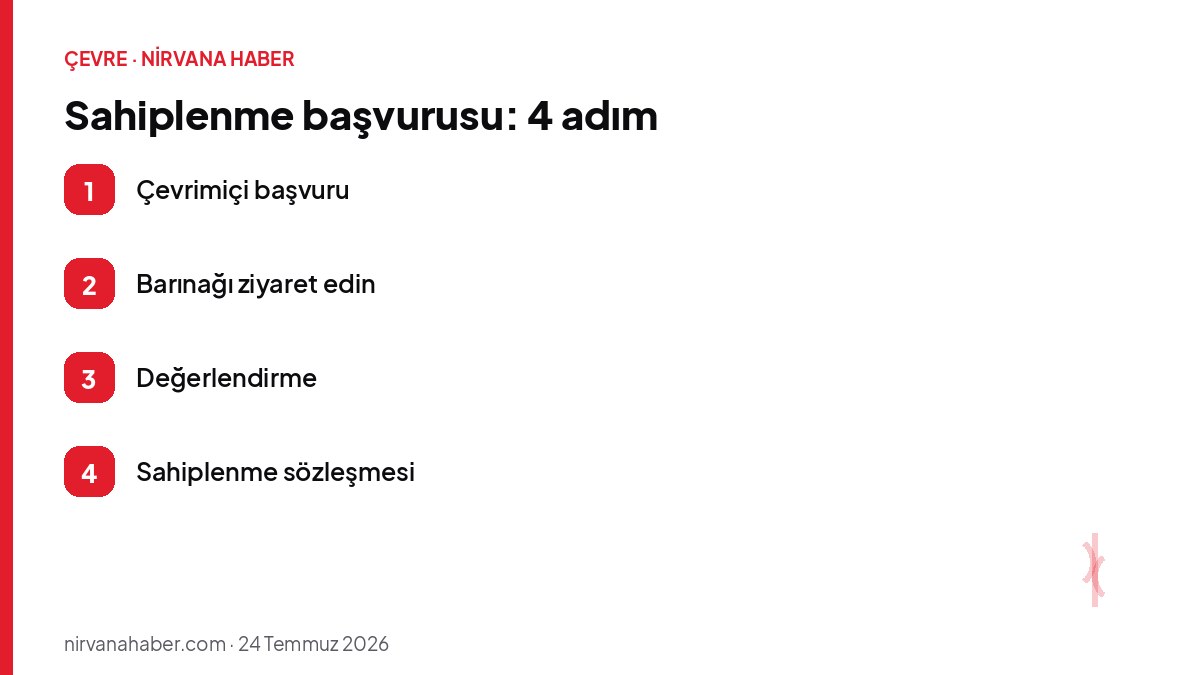 Sahiplenme başvurusu: 4 adım