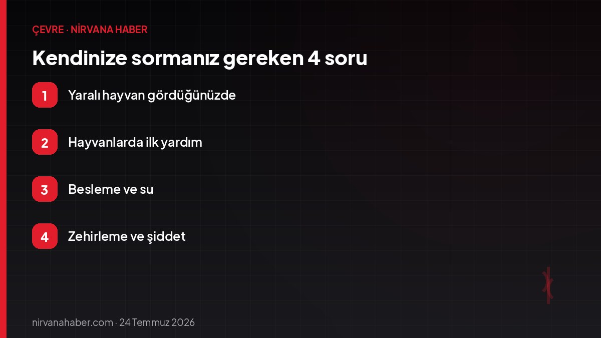 Kendinize sormanız gereken 4 soru