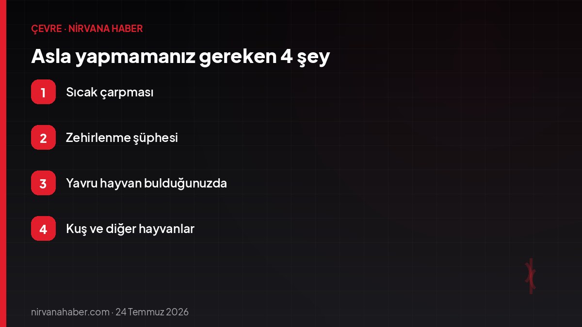 Asla yapmamanız gereken 4 şey