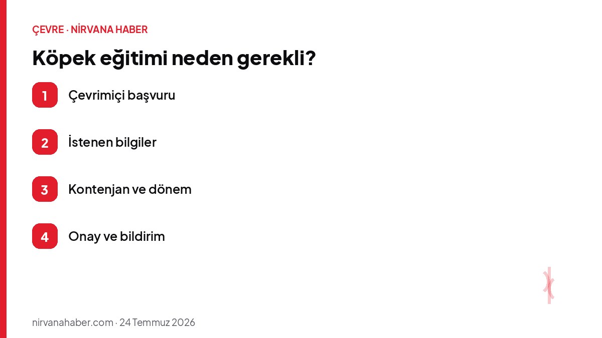Köpek eğitimi neden gerekli?