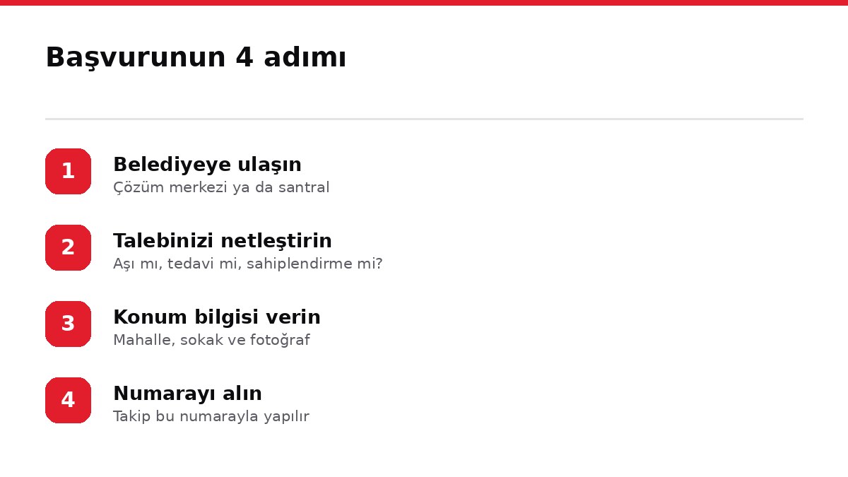 Başvurunun 4 adımı