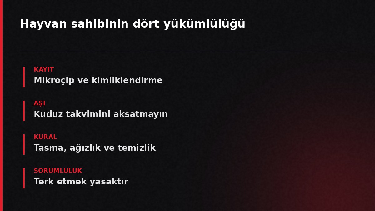 Hayvan sahibinin dört yükümlülüğü