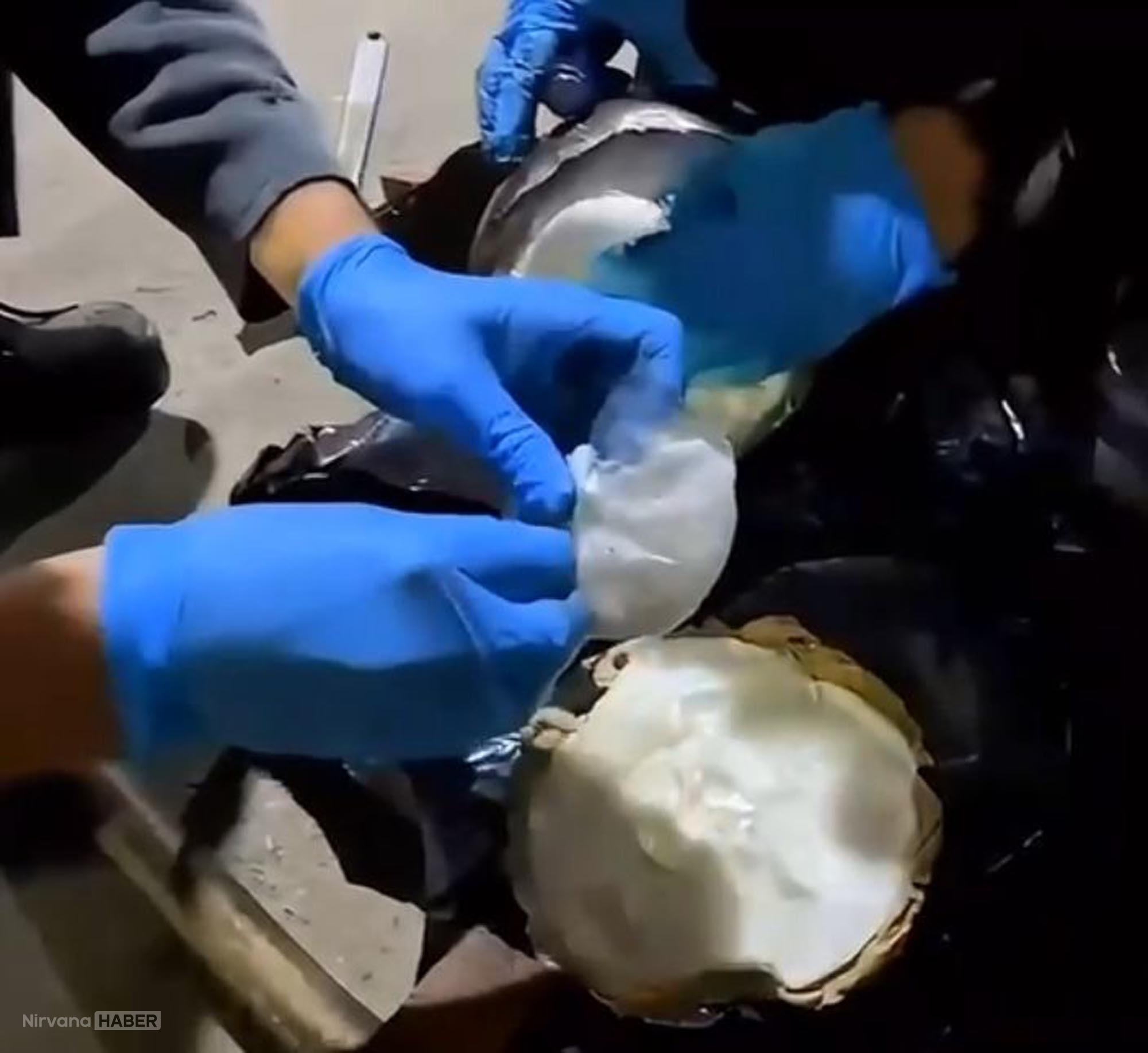 Ağrı'da mutfak tüpüne zulalanmış 8 kilo 300 gram metamfetamin ele geçirildi