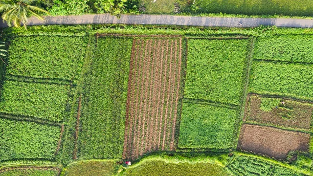 Tarımsal girdi ağustos ayında yıllık yüzde 34,09 arttı