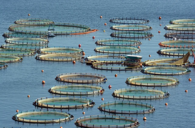 Karadeniz’den büyük ihracat: 9 ayda 278 milyon dolarlık su ü...