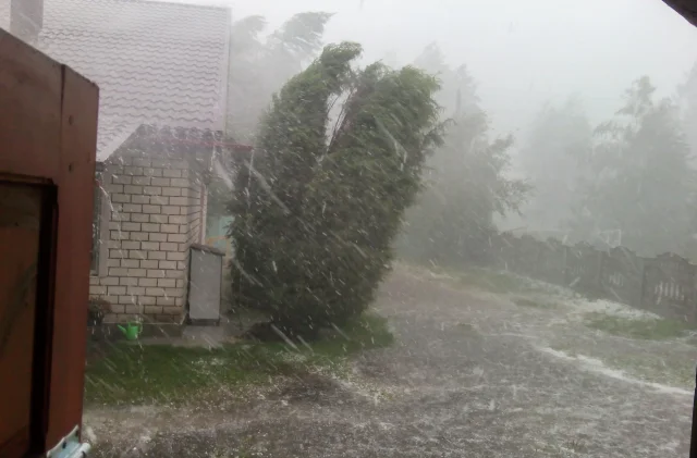 Yeni Zelanda’da etkili olan fırtına yaklaşık 90 bin haneyi e...