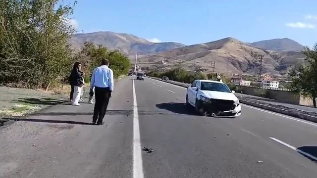 Elazığ'da Otomobilin Köpeğe Çarpması Sonucunda 1 Kişi Yaralandı