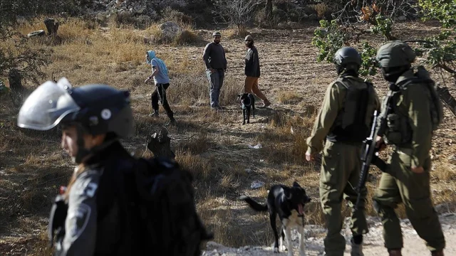 Batı Şeria’da Filistinli Çiftçiye İsrail Askerlerinden Saldı...