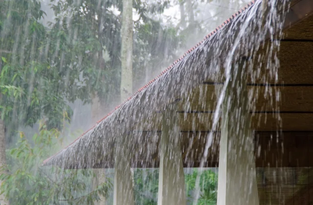 Hindistan Yeni Delhi'de hava kirliliğini durdurmak için yapa...