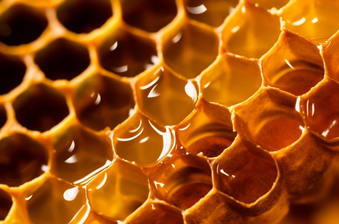 Doğu Karadeniz'in balı 11 ülkeye ulaştı: Gelir 1,7 milyon doları aştı