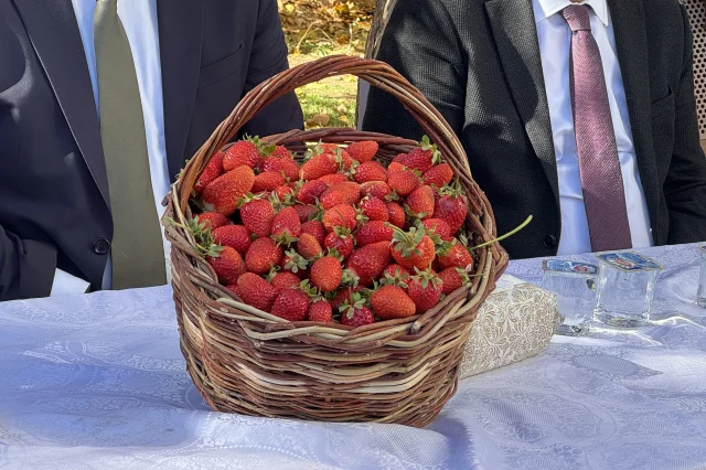 Elazığ'da Çilek Üretimi İçin 20 Bin Fide Toprakla Buluştu