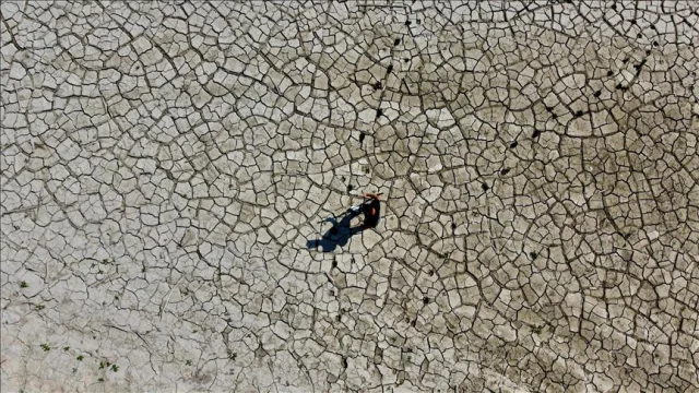 RSF Uyardı: Çevre Gazeteciliği İklim Zirvesi Öncesi Baskı Al...