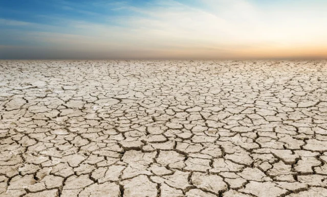 Cezayir'de Kuraklık Nedeniyle Ülke Genelinde Yağmur Duası Ya...