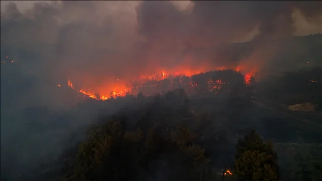 Minibüsten başlayıp ormana sıçrayan yangında 4 sanığa hapis istemi
