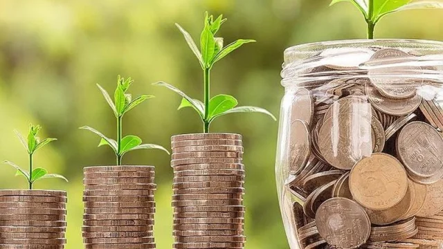 Yeşil, Mor ve Pembe Yıkama: Gerçek mi? Manipülasyon mu?