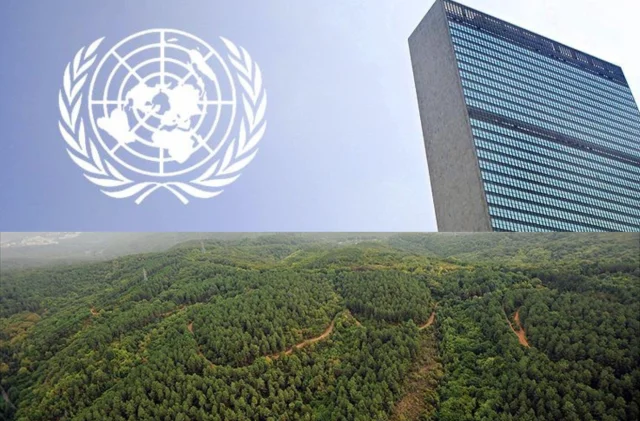 BM Orman Uzmanları Brezilya'da Düzenlenecek İklim Zirvesi Ön...