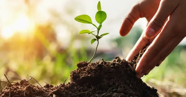 Kars'ta Karabağ Zaferi'nin 5. Yılında 44 Şehit Anısına 44 Fi...