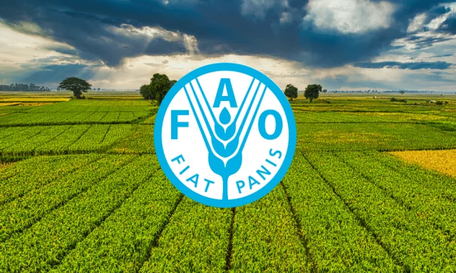 Küresel Gıda Fiyatları Ekimde Geriledi: FAO Gıda Fiyat Endek...