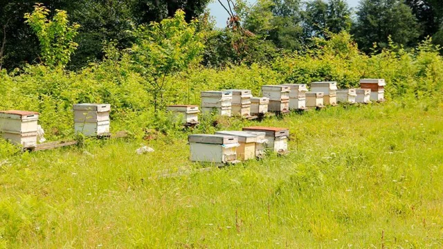 Küllerinden Doğan Köyler Yeniden Hayat Buluyor