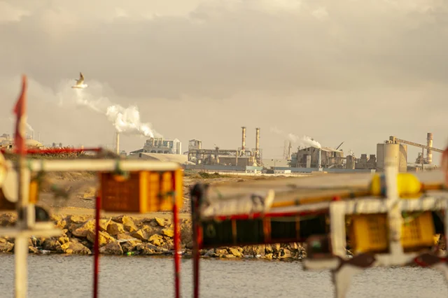 Tunus, Gabes Körfezi'nde 9 Bin Hektarlık Kirli Deniz Tabanın...