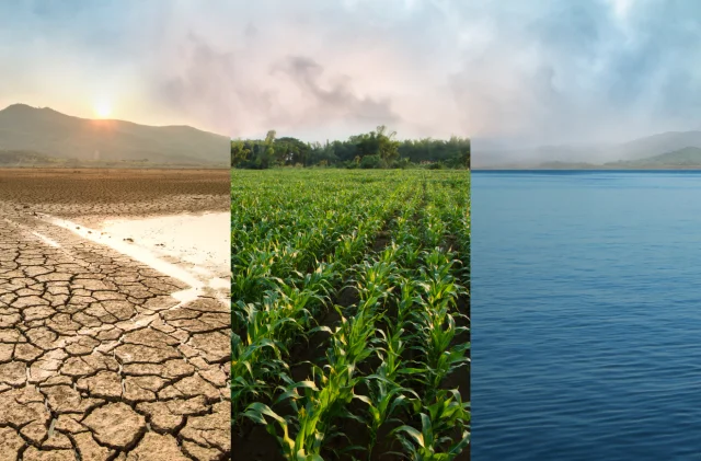 Dünya 2,6 Derece Isınmak Üzere: İklim Krizi Alarm Veriyor!