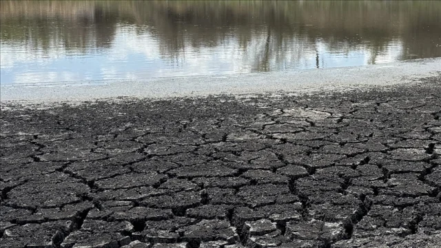 COP30'da Akdeniz İçin İklim Kriziyle Mücadele Çağrısı