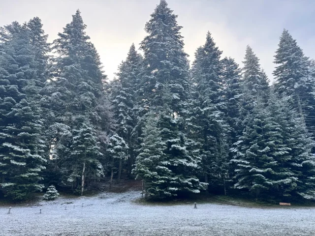 Bolu'nun Yüksek Kesimlerinde Kar Yağışı Etkili Oldu