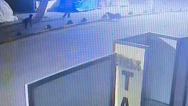 Emekli Astsubay Sokak Köpeğini Tabancayla Vurdu Kuşadası