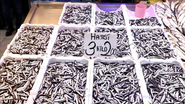 Trabzon'da hamsinin kilogramı 75 liradan satılıyor