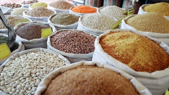 Güneydoğu Anadolu hububat ihracatı 2,9 milyar $