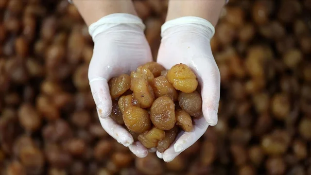 Bursa Kestane Şekeri ve İpsala Pirinci AB'den Tescil Aldı