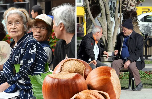 Ordulular neden Japonya'ya giremiyor? 