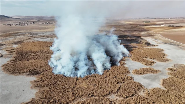 Konya Gökgöl sazlıkları yangını 2 gündür devam ediyor