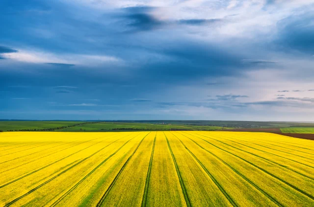 Kırsalda yatırımlar sürüyor: 105 bin kişi istihdam edildi!