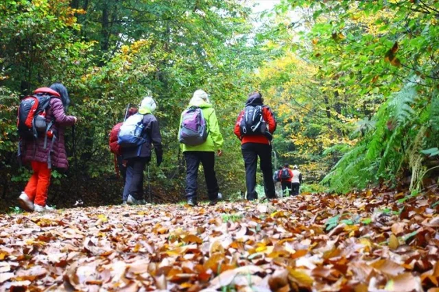 Haftada 3 Gün Doğa Yürüyüşü Beynin Hafıza Merkezini Fiziksel...