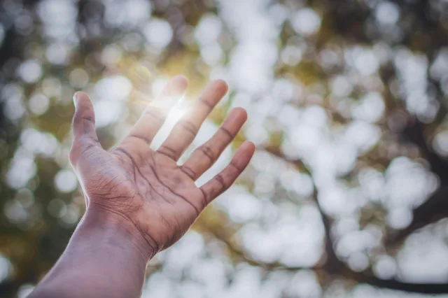 Kötü Olaylara Karşı Kalkan: Öğrenilmiş İyimserlik Nedir?