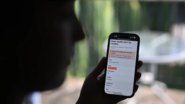 BM: Sıcaklığa bağlı ölüm oranı, 1990'lardan bu yana yüzde 63...