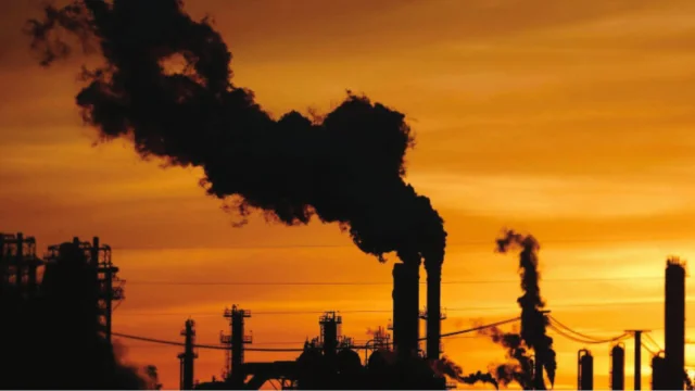 COP31 Türkiye Ev Sahipliği: Greenpeace Taleplerini Açıkladı